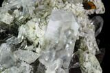 Brookite and Quartz Crystal Association- Pakistan #111320-3